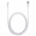 Apple Lightning / USB Cable MD818ZM/A - iPhone 5, iPod Touch 5G, iPod Nano 7G - White - 1m