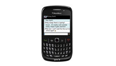 BlackBerry Curve 8530 Accessories