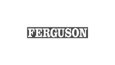 Ferguson charger